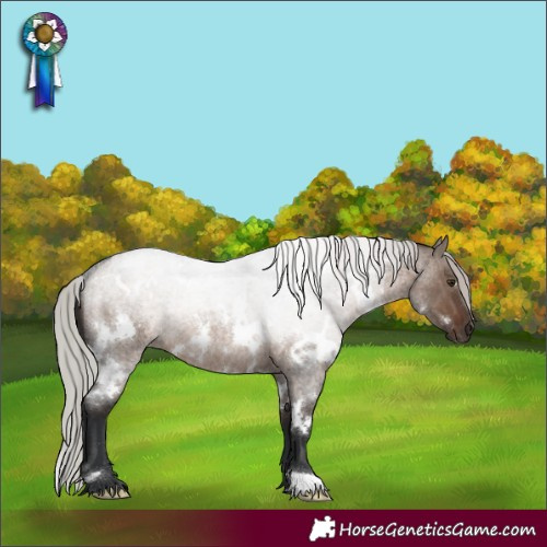 Horse Color:White Spotted Silver Brown Roan Dun Rabicano