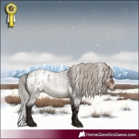 Horse Color:Gray White Spotted Silver Brown Roan Dun Frame Appaloosa