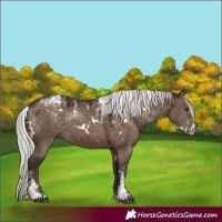 Horse Color:Powder White White Spotted Silver Brown Dun Rabicano 