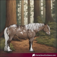 Horse Color:Powder White White Spotted Silver Brown Dun Rabicano 