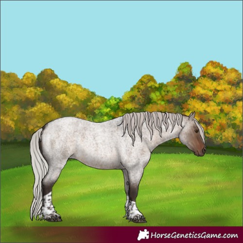 Horse Color:Silver Brown Roan Dun Tobiano