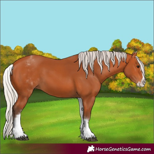 Horse Color:White Spotted Silver Bay Splash