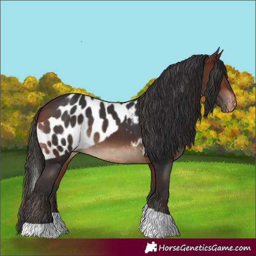 Horse Color:Bay Tobiano Skewed LP Spotted Rabicano 