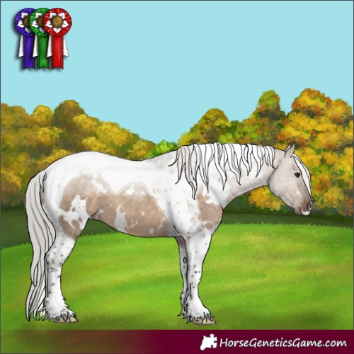 Horse Color:White Spotted Silver Brown Dun Tobiano 