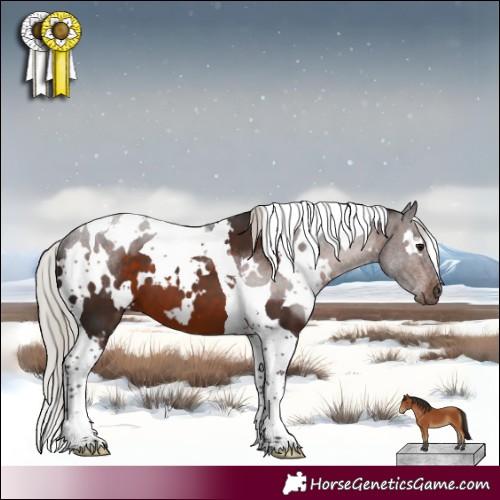 Horse Color:White Spotted Silver Bay Tobiano 