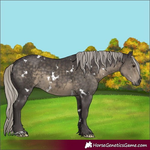 Horse Color:White Spotted Silver Smoky Black Mushroom 