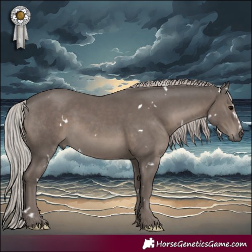 Horse Color:White Spotted Silver Black Mushroom 