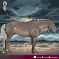 Horse Color:White Spotted Silver Black Mushroom