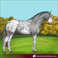 Horse Color:White Spotted Blue Roan Splash Frame Blanket 