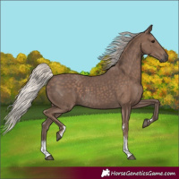 Horse Color:Silver Black Sabino