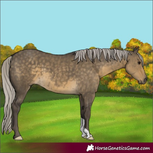 Horse Color:Silver Smoky Grullo 
