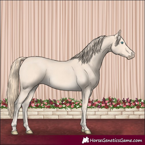 Horse Color:Perlino