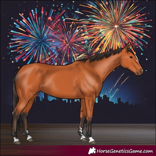 Horse Color:Bay 