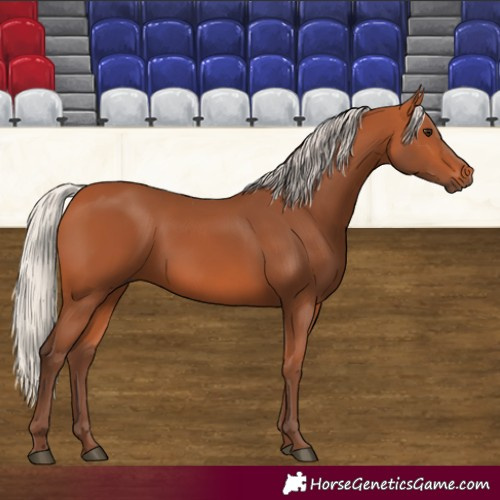 Horse Color:Silver Bay