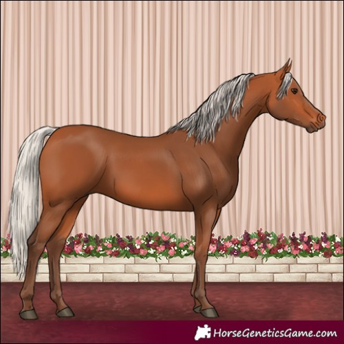 Horse Color:Silver Bay
