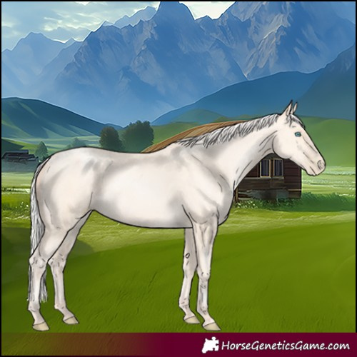 Horse Color:Silver Amber Cream Champagne Pearl 