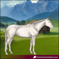 Horse Color:Silver Amber Cream Champagne Pearl 