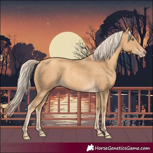 Horse Color:Gold Cream Champagne 