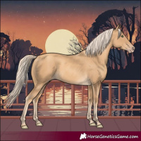 Horse Color:Gold Cream Champagne 