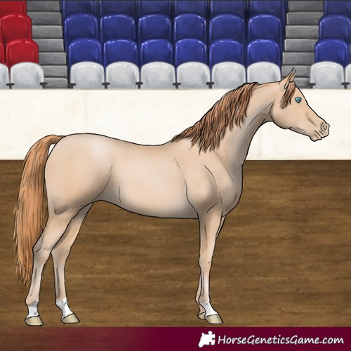 Horse Color:Buckskin Pearl