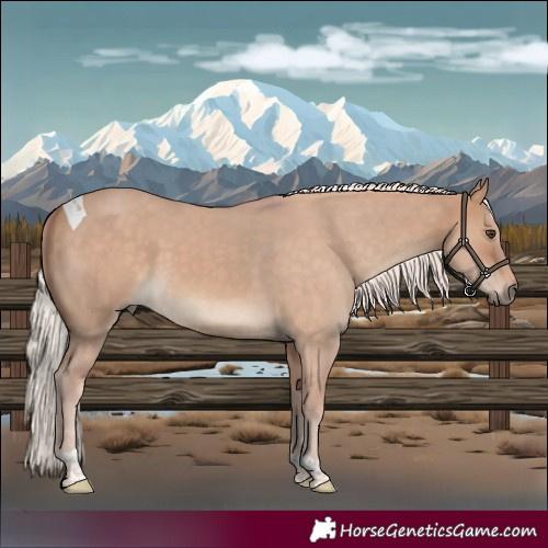 Horse Color:Silver Brown Dun Tobiano 