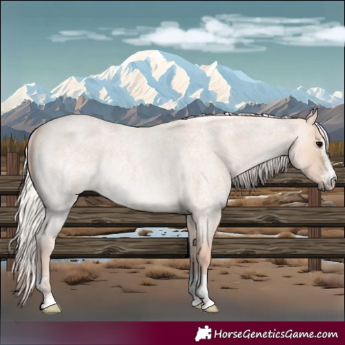 Horse Color:Silver Grullo Roan Rabicano 
