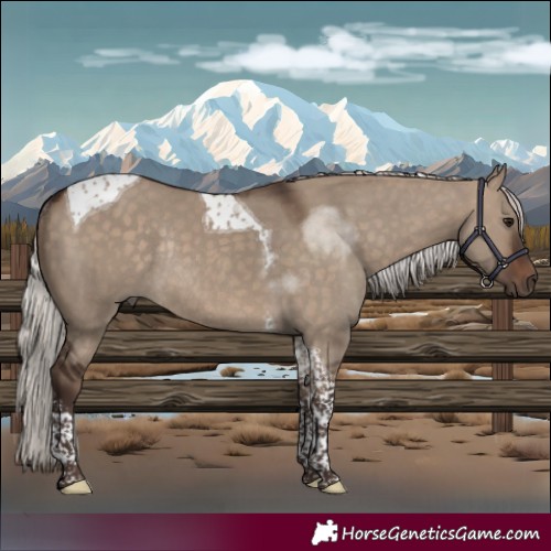 Horse Color:Silver Brown Dun Tobiano Rabicano 