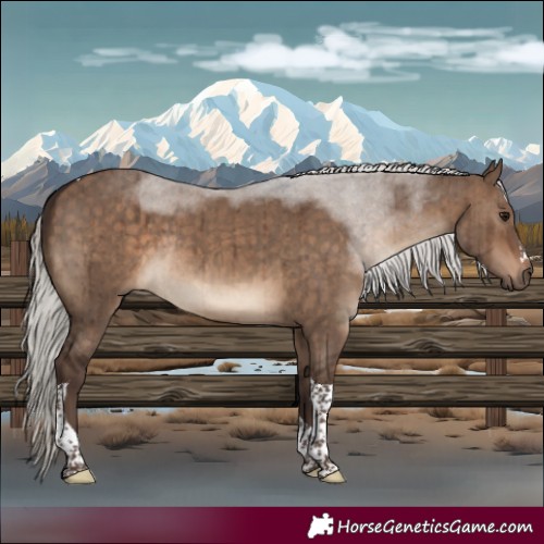 Horse Color:Silver Brown Dun Tobiano Rabicano Brindle 