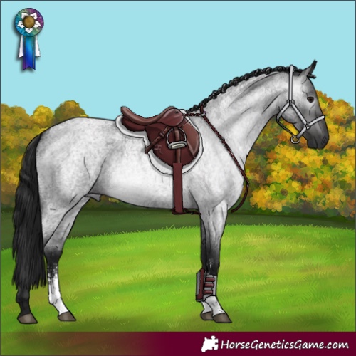 Horse Color:Gray Blue Roan Sabino 