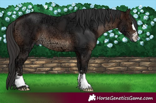 Horse Color:Brown Ice 