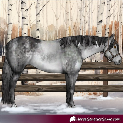 Horse Color:Powder White Platinum White Spotted Buckskin Dun Rabicano Brindle 