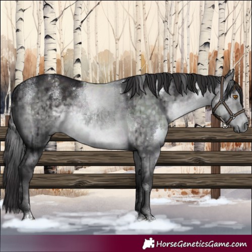 Horse Color:Powder White Platinum White Spotted Buckskin Dun Rabicano Brindle 