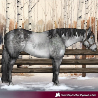Horse Color:Powder White Platinum White Spotted Buckskin Dun Rabicano Brindle