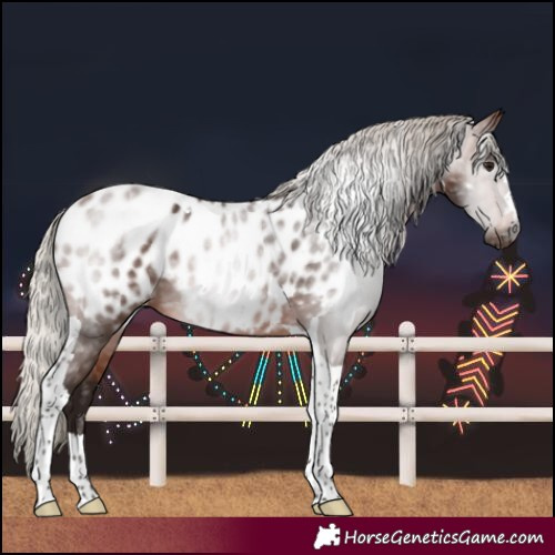 Horse Color:Gray Silver Bay Tobiano Near Leopard 