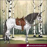 Horse Color:Smoky Blue Roan Near Leopard 