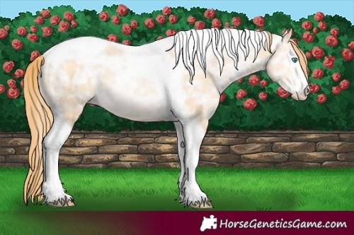 Horse Color:Bay Ice Snowdrop Pearl Tobiano
