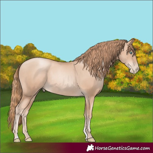 Horse Color:Gold Champagne Pearl Rabicano  and Gold Champagne Pearl Rabicano 