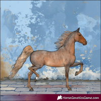 Horse Color:Chocolate Palomino Roan 