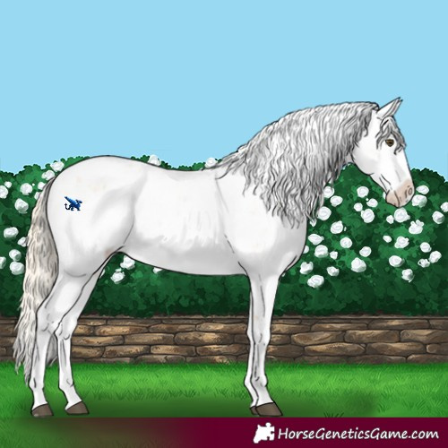 Horse Color:Palomino Dun Sabino