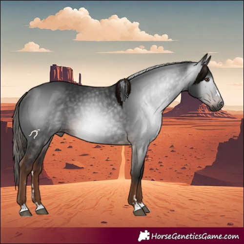 Horse Color:Gray Liver Chestnut Rabicano 