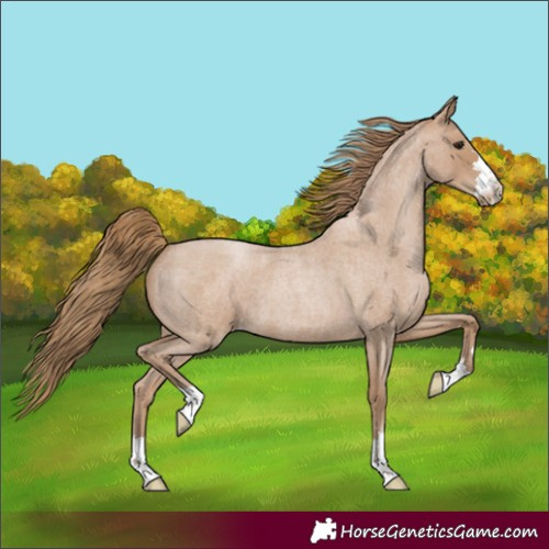 Horse Color:Blue Roan Pearl 