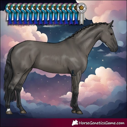 Horse Color:Grullo