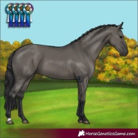 Horse Color:Grullo