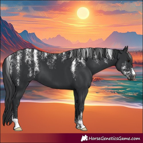 Horse Color:Powder White Black 