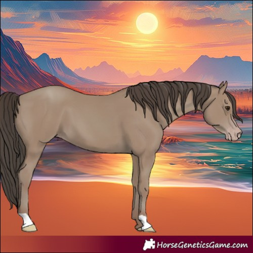Horse Color:Classic Champagne