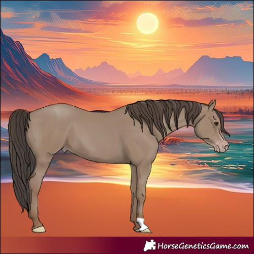 Horse Color:Classic Champagne 