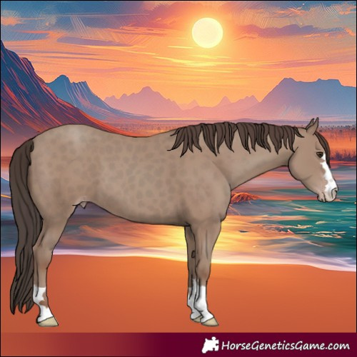 Horse Color:Classic Champagne 