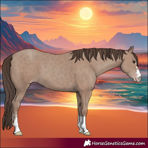 Horse Color:Classic Champagne 