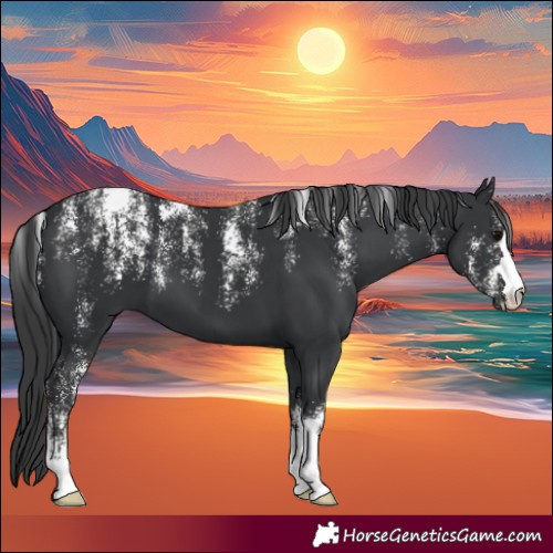 Horse Color:Powder White Black