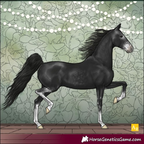 Horse Color:Gray Black Sabino 